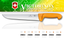 Victorinox 5.8431.31 Swibo WENGER Nóż rzeźniczy do skórowania, ostrze 31 cm, gładkie, profilowane,  uchwyt żółty (dostępne długości  ostrza: 21 cm; 24 cm; 26cm; 29cm; 31cm; 34cm )